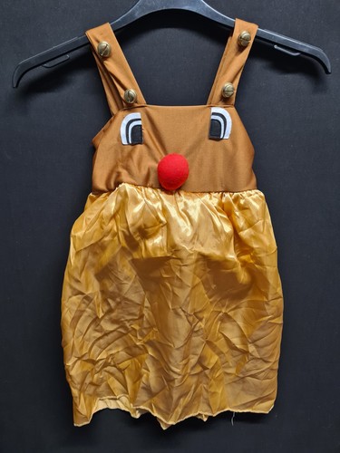 Girls christmas fancy dress - fancy,