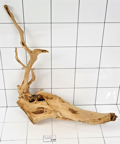 Premium aquarium natural wood - aquarium,