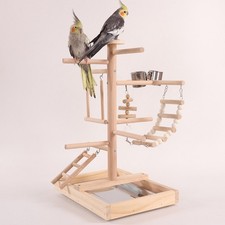 Pet Parrot Playstand Wooden