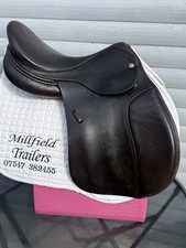 17.5 Black Harry Dabbs Jump