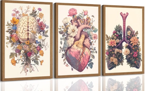 Medical human anatomy poster - human,