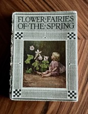 Flower fairies the spring - flower, of