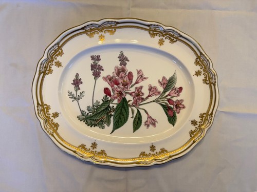 Spode stafford flowers - spode,