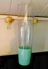 ORCHID VASE CLEAR GLASS TALL