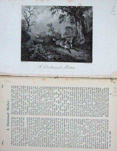 Original old antique - original,
