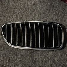 BMW 5 Series Driver Kidney