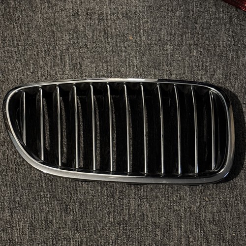 Bmw series driver kidney - driver,