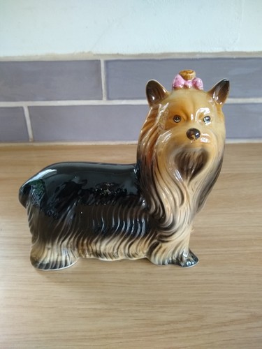Beautiful yorkshire terrier - yorkshire,
