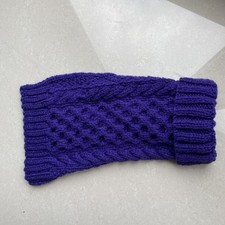 Teacup Chihuahua/ Yorkie Dog