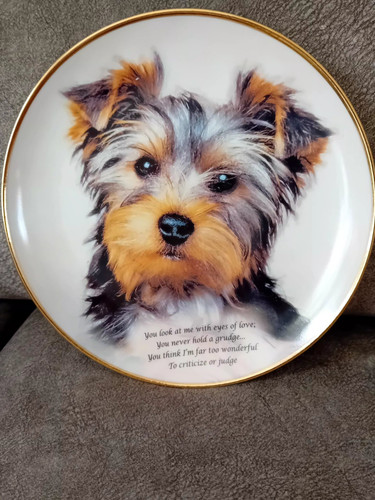 Danbury mint yorkshire terrier - mint,