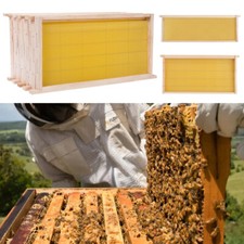 Langstroth Beehive Fir Wood Bee Hive Beekeeping Box Honey Bee House