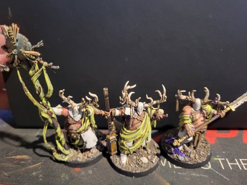 Maggotkin nurgle small army - maggotkin,