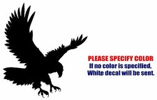 Eagle Bird Predator Graphic