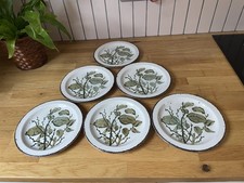 6 Midwinter Stonehenge Greenleaves 18cm Side Plates 1970’s