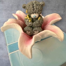 Me To You Blossoming Flower Bear In Original Box