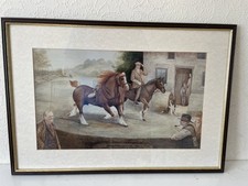 Brenin Gwalia Framed Print