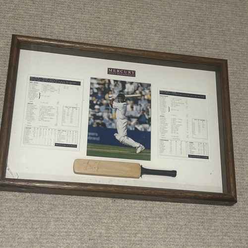 Framed miniature cricket bat - framed,