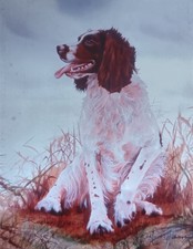 Limited edition print Springer