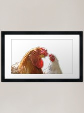 Rooster, chicken, happy