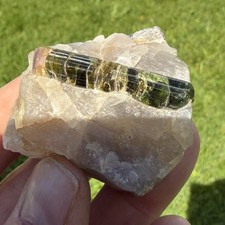 Natural Green - Pink