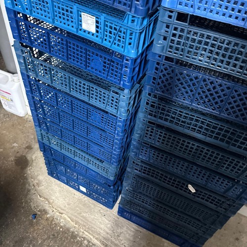 Stackable plastic tray - x,