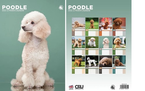 Poodle 2026 calendar - calendar,