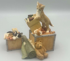 Sherratt & Simpson Cats Moving