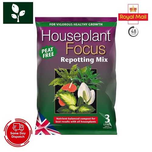 Growth technology houseplant - growth,