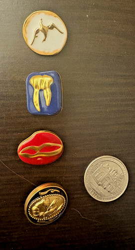 Set schiaparelli buttons - 4,