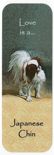 Japanese chin dog - japanese,