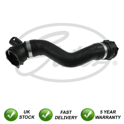 Radiator coolant hose lower - radiator,