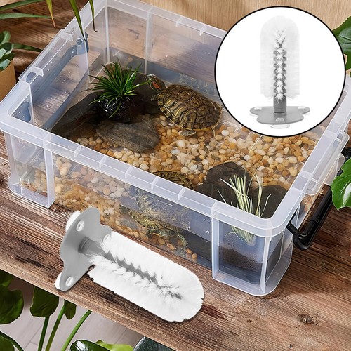 Tortoise back brush shell - tortoise,