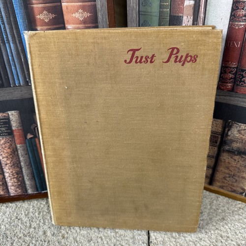 Vintage book 1937 just pups - just,