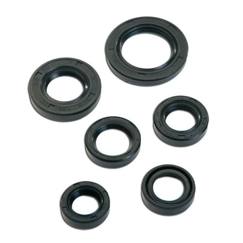 Seal kit pieces for - seal, peugeot