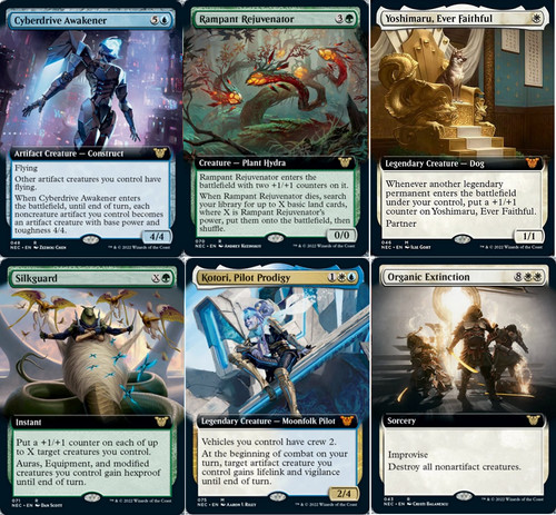 Choose your borderless - choose,