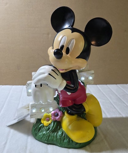 Mickey mouse garden - mickey, led