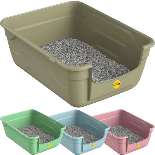 Large cat kitten - large, tray