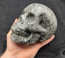 XL Large Yooperlite Skull