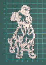 Jack Russell Die / Terrier Dog