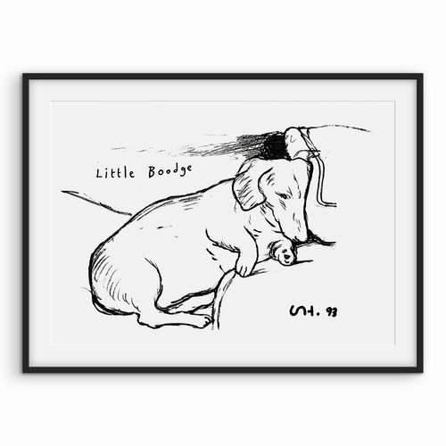 David hockney little - hockney, 'little