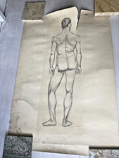 Nude Man original sketch life drawing Charchoal Vtg male figure art study 60's