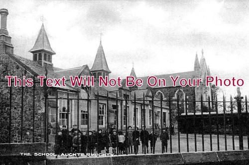 371 the school - sc,