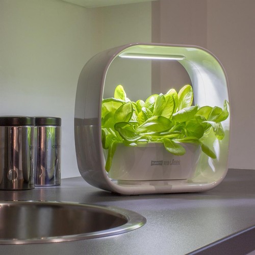 Indoor kitchen growing herb - indoor,