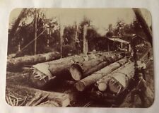 Steam Donkey Or Power Winch