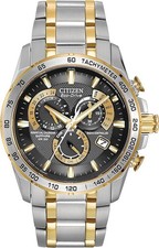 Citizen Eco-Drive Perpetual