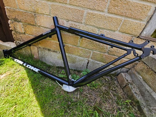 One dn6 inbred black - one,, inbred,