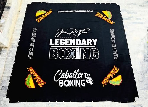 Professional boxing ring - boxing,