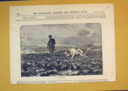 Original old antique print - old,