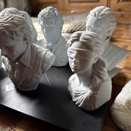 Custom printed bust - 3d,