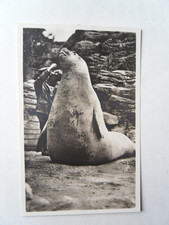 Postcard Hamburg Tierpark